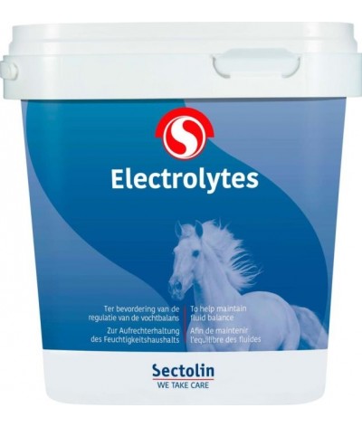 Sectolin Electrolytes 1 KG