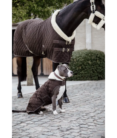Kentucky Horsewear Dog Coat...